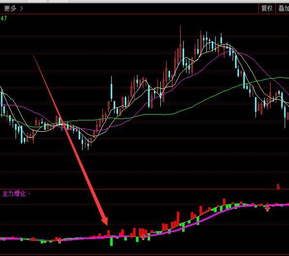 牛人专版主力持仓增仓通达信指标公式