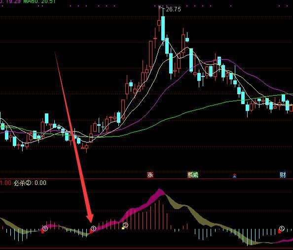 大涨版通达信主力筹码建仓指标公式