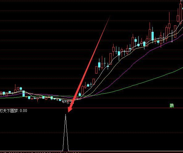 选出都是大牛股主力机构私募指标公式