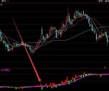 牛人专版主力持仓增仓通达信指标公式