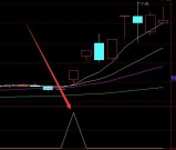 冠军一号私募机构专用指标