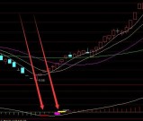 最多牛股指标的通达信公式指标网