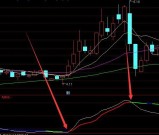 庄家最怕的庄家建仓出货指标公式源码